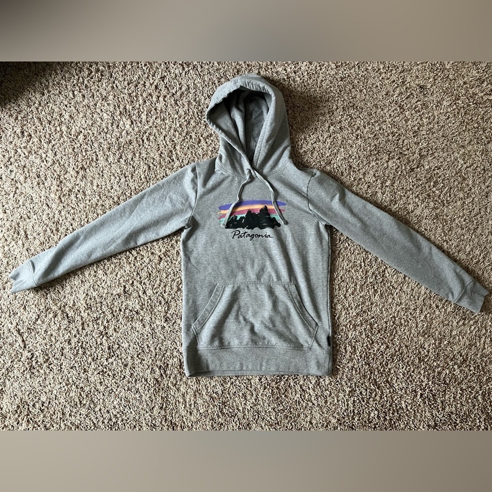 Patagonia Free Hand Fitz Roy Ahnya Hoodie in gray - Picture 3 of 13